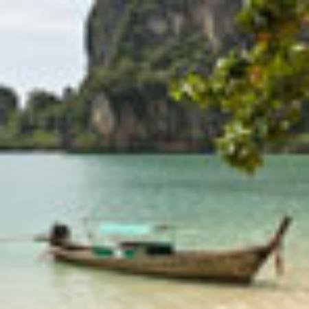 Einstein Bros. Bagels